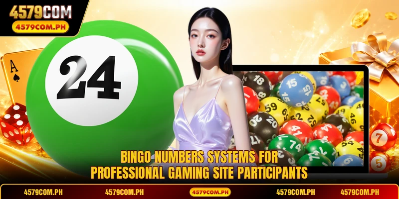 Bingo Numbers systems for professional gaming site participants