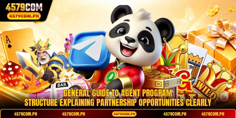 General guide to Agent program structure explaining partnership opportunities clearly