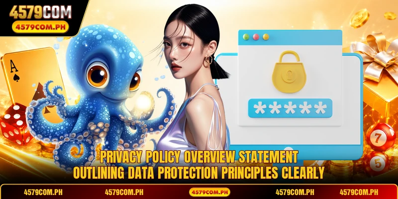 Privacy policy overview statement outlining data protection principles clearly