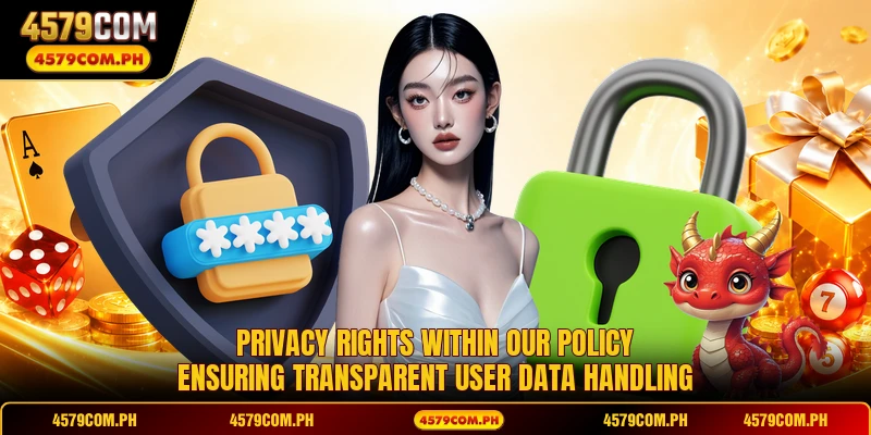 Privacy rights within our policy ensuring transparent user data handling