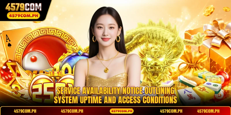 Service availability notice outlining system uptime and access conditions